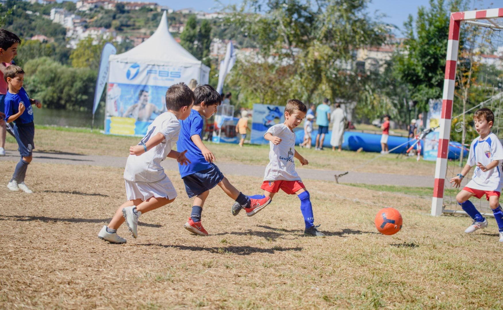 CM de Coimbra vai apoiar 60 clubes e associações desportivas
