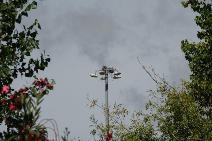 Consignação Requalificação das Torres de Iluminação da Casa da Sal (7)