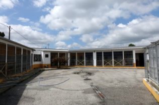 CM de Coimbra lança concurso para reabilitação e ampliação do Canil/Gatil Municipal