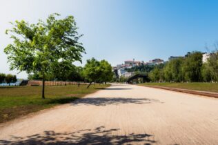 Caminhada “Diabetes Passo a Passo” celebra o Dia Mundial da Diabetes em Coimbra