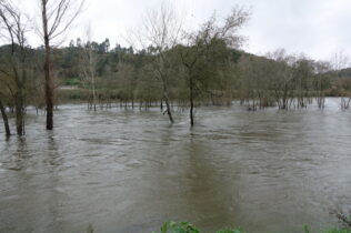 APA alerta para risco de cheias no Mondego nos próximos dias