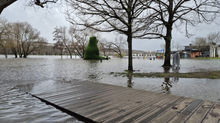 WhatsApp Image 2026-02-05 at 11.58.38