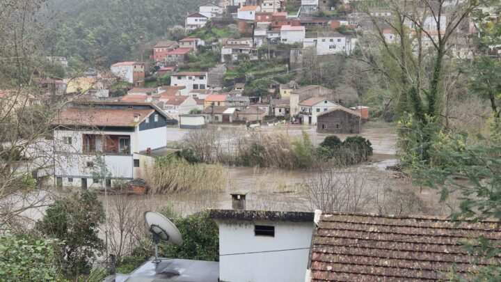 WhatsApp Image 2026-02-05 at 12.13.52 (1)