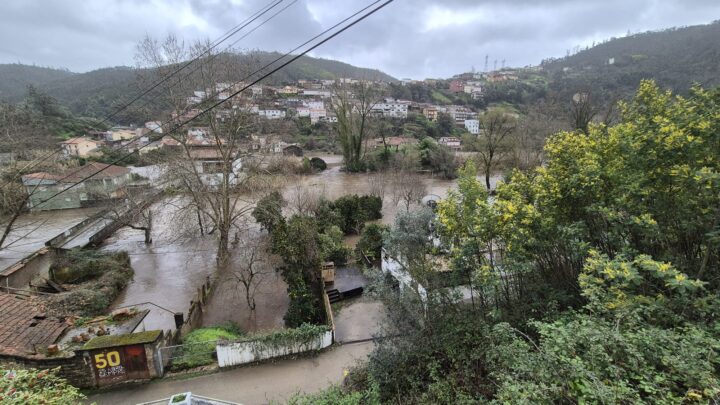 WhatsApp Image 2026-02-05 at 12.13.52 (2)