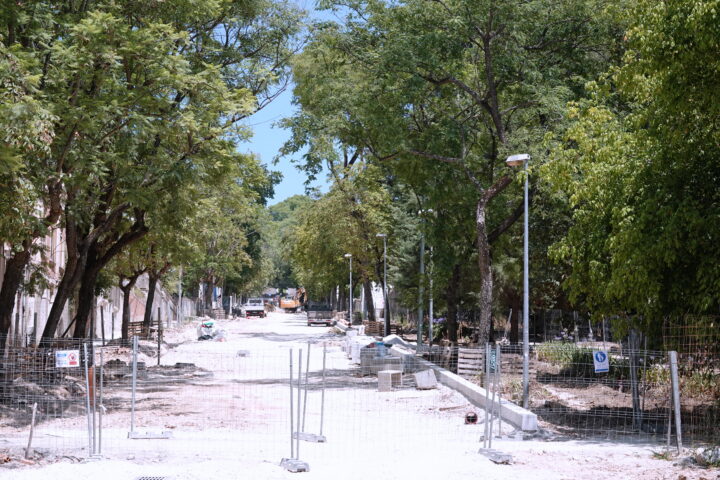 DSC01025