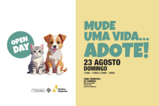 “Open Day” no Canil Municipal de Coimbra no dia 23 de agosto