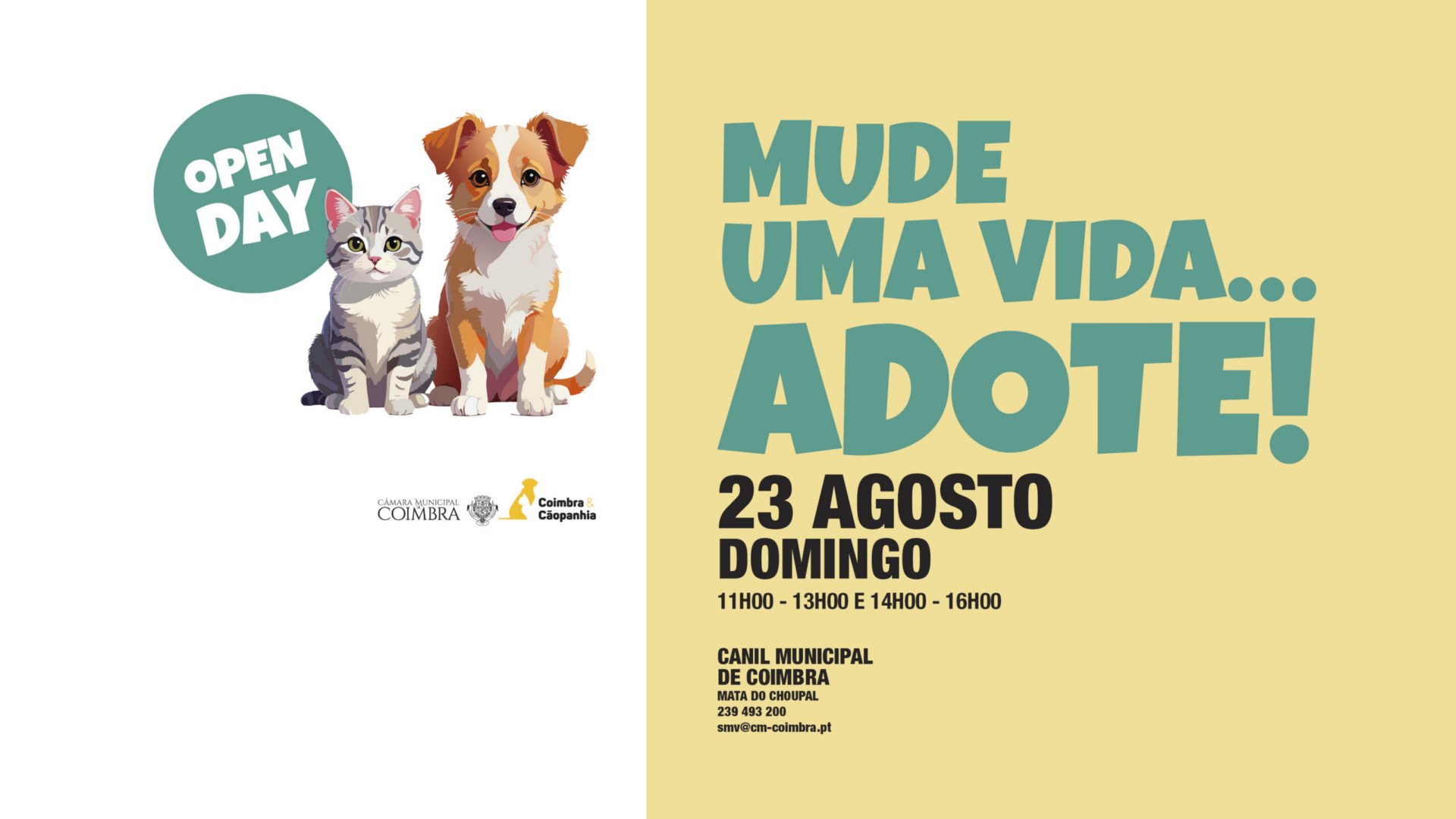 “Open Day” no Canil Municipal de Coimbra no dia 23 de agosto