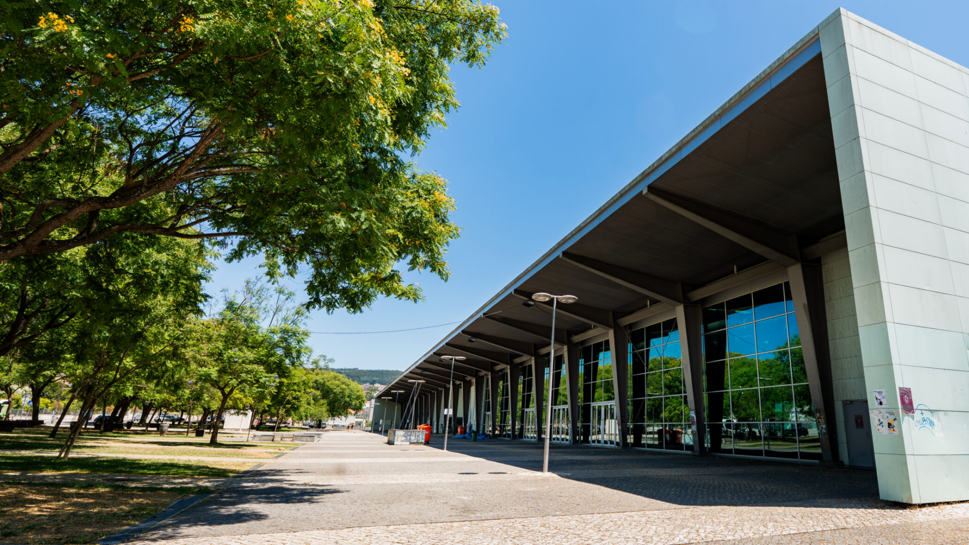 Pavilhão Mário Mexia acolhe 37.º Estágio Internacional de Judo da Académica
