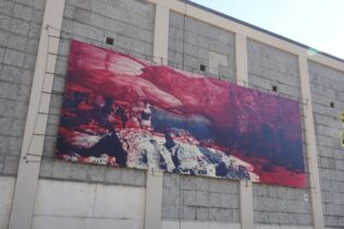 Obra de Carla Cabanas na fachada do Mercado Municipal D. Pedro V